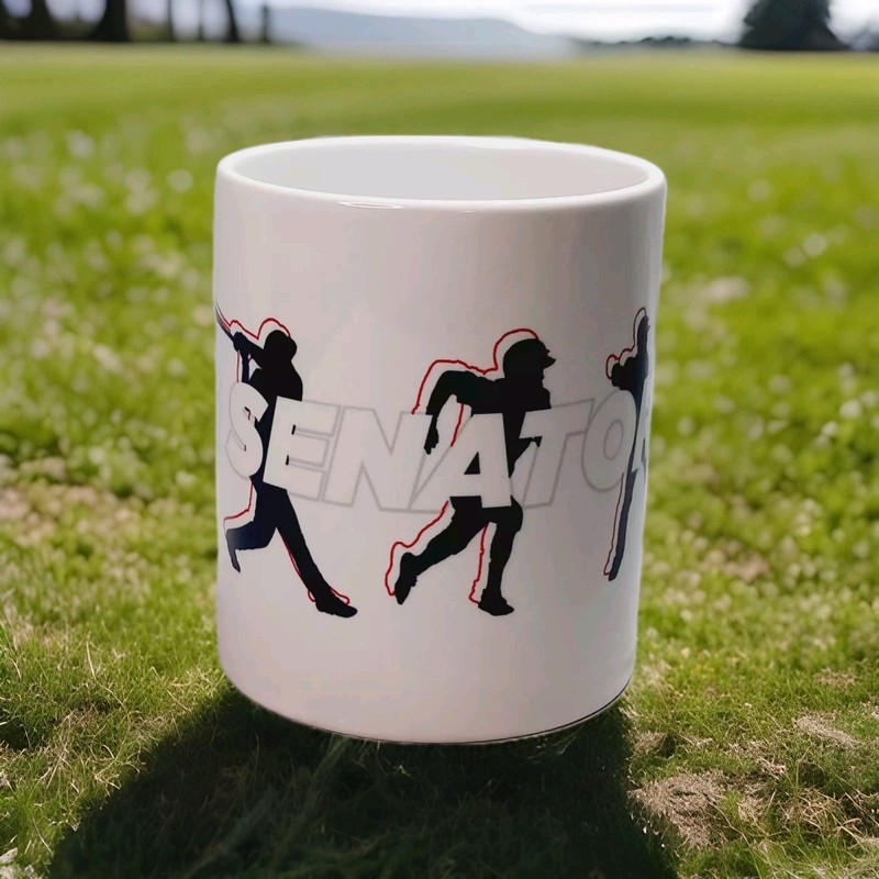 Harrisburg Senators Baseball Team Coffee Mug Promo First National Bank 
