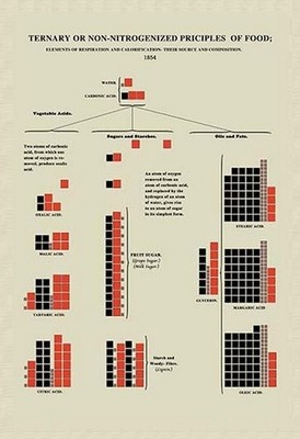 Ternary or Non-Nitrogenized Principles of Food Edward L. Youmans Poster Print