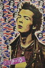 Sid Vicious Sex Pistols God Save The Queen poster 22 x 34 free shipping