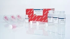 Qiagen RNeasy Maxi Kit, Unused