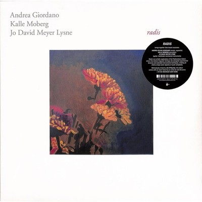 Andrea Giordano / Kalle Moberg / Jo David Meyer Lysne / RADIS (LP+DL) / Black T