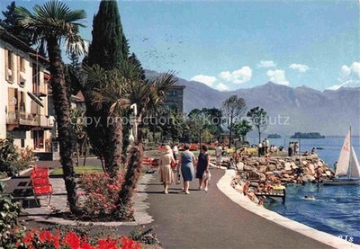 Brissago Lago Maggiore TI Lungolago Lago-Maggiore Seepromenade Palmen Rosen Sege
