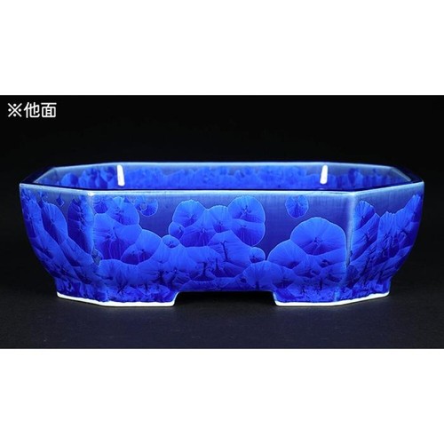 Japanese bonsai pot HEIAN SENZAN Rectangle shape W16.5cm H5cm Navy blue Glazed - Picture 7 of 24