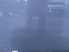 Bild 7 von 12