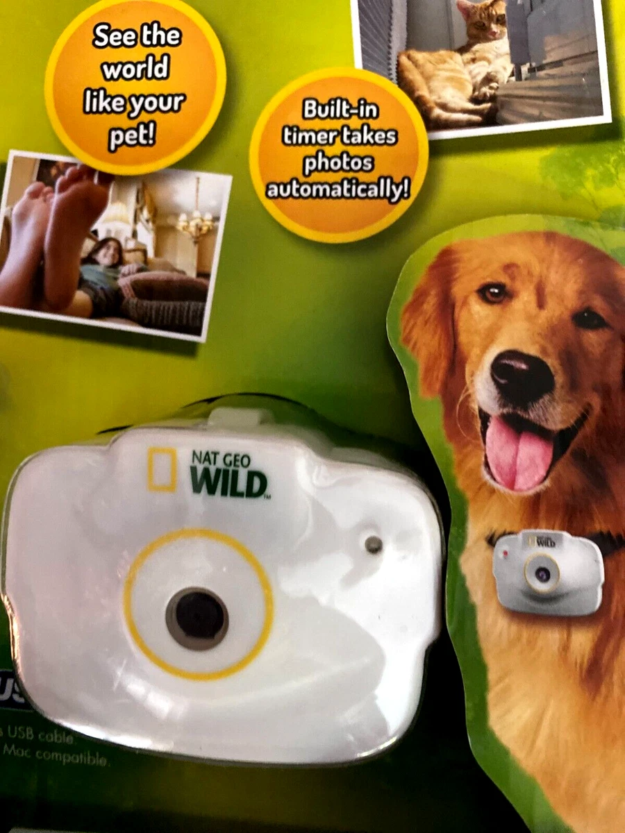 Aggregate more than 135 camera to watch pets super hot vietkidsiq.edu.vn