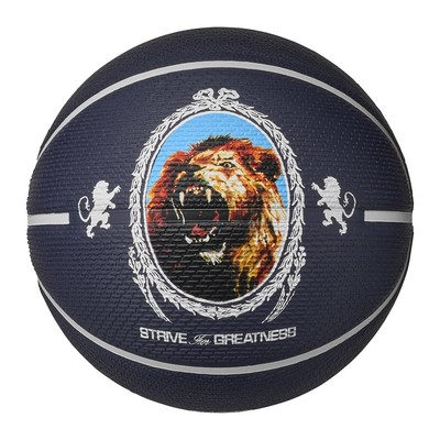 NIKE Lebron James Adult Basketball Size 7 - Playground 8P 2.0 RECREATION_BALL