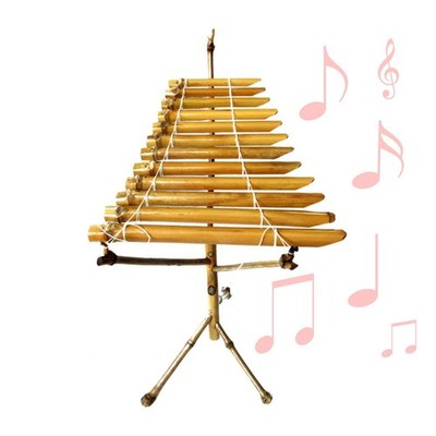 Vietnamese Traditional Musical Instrument T' Rung for Stage Children Adults