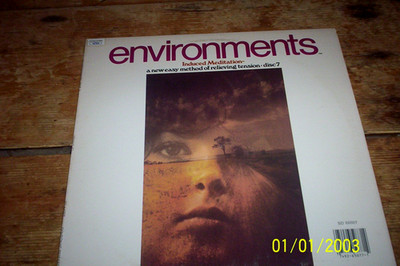ENVIRONMENTS Disc 7 ( INTONATION / SUMMER CORNFIELD ) VINYL Audiophile LP vg++
