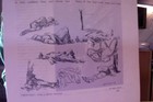 Foto 3 di 5