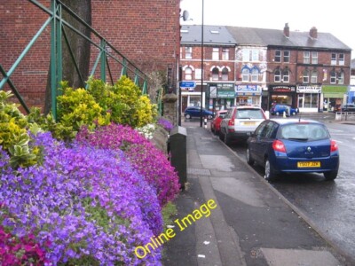 Photo 6x4 A splash of colour in Sharrow Lane Sheffield/SK3587 Aubretia g c2012
