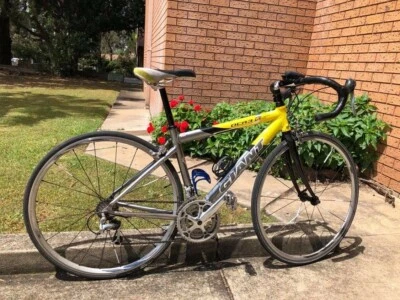 giant tcr gumtree