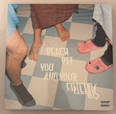 PEACH PIT   YOU AND YOUR FRIENDS - VINYL LP NEW - A18