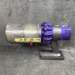 Dyson V10 Animal Main Body Akku Eimer getestet funktioniert lesen