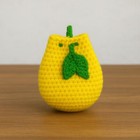 Amigurumi Crochet Coin Bag | Handmade Yellow Coin Pouch for Coins & Small Items
