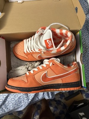 Nike SB Dunk Low Skateboarding Shoes Orange/White US 10.5 Medium D
