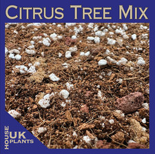 CITRUS TREE Soil Mix (Pest-Free Repotting Compost for Orange Lemon Satsuma Lime)