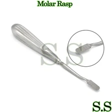 Molar Rasp Veterinary Dental Instruments