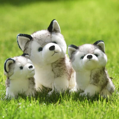 Cute Husky Dog Plush Toy Stuffed Animal Soft Wolf Pet Doll Kid Toy Gift 30cm HOT