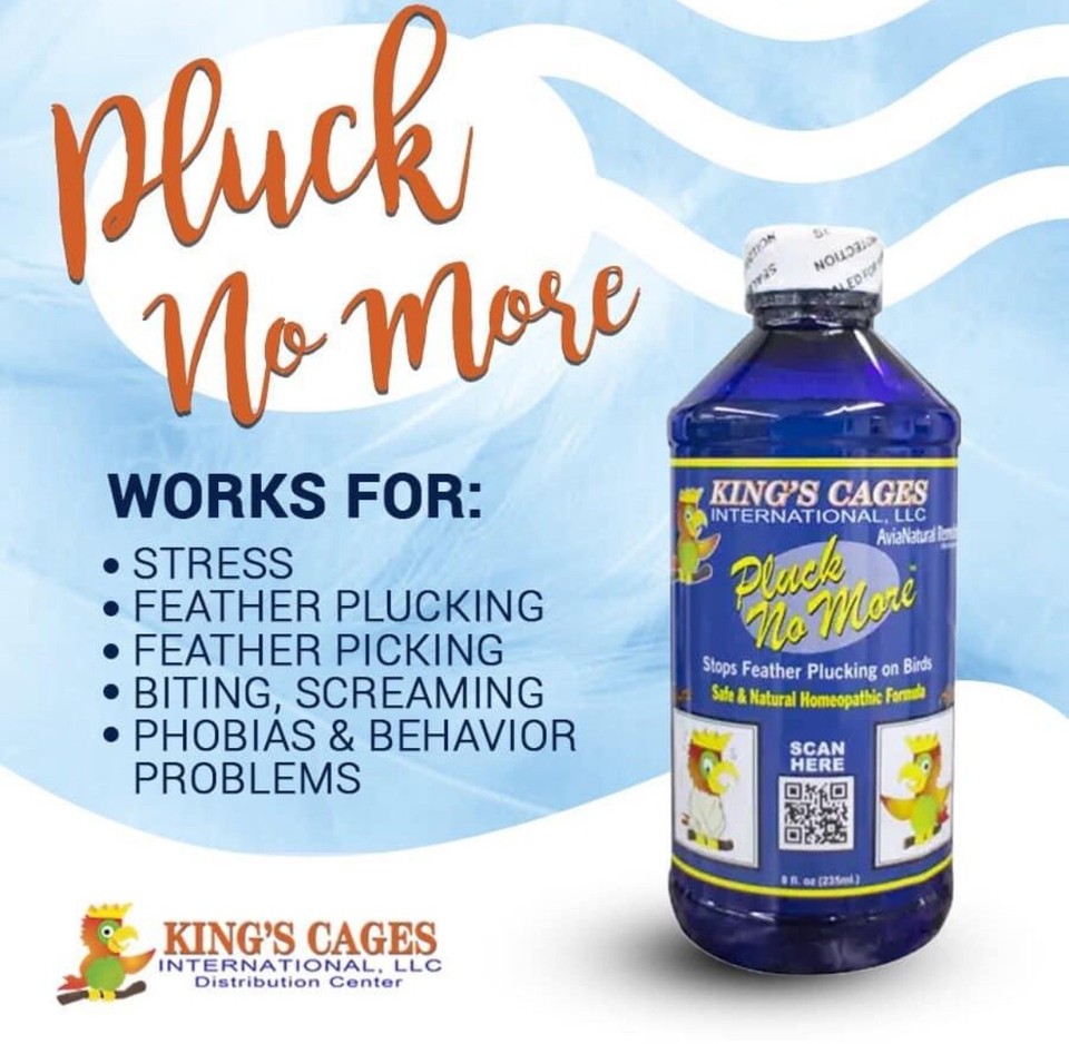 PLUCK NO MORE NATURAL FEATHER PLUCKING/CALMING REMEDY 8oz By KING'S CAGES eBay