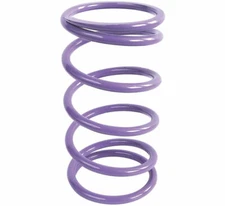 EPI Secondary Driven Clutch Springs - Purple - YDS6