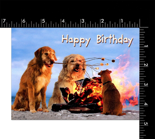 Funny HAPPY BIRTHDAY Pop-Up Card, S'Mores Dogs Beach Fire by Avanti + Envelope - Picture 3 of 5