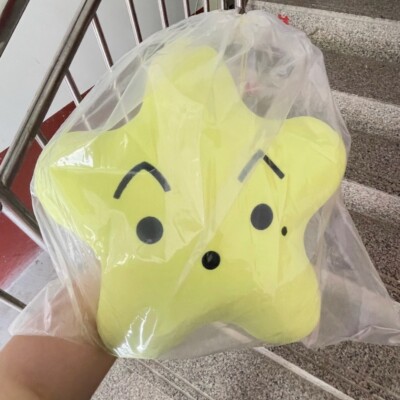 NCT 127 8th Anniversary Smtown Starfish Cushion Set/Brand New