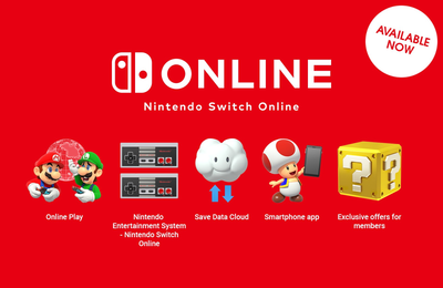 nintendo switch online 1 year