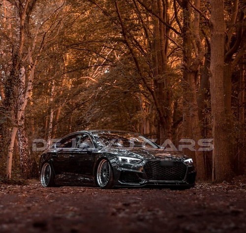 RS5 Look parrilla para Audi A5 B9 S line S5 parrilla de panal parrilla negra - Imagen 4 de 9