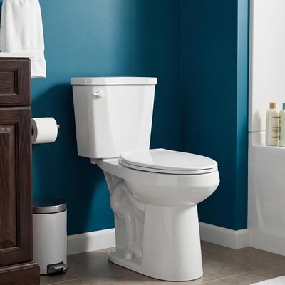 22 Inch Elongated Extra Tall Toilet Seniors 1.28 GPF White Two Piece Single