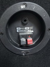 ProSound PS08 100W DJ Passive Speakers Pair