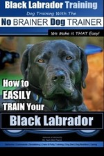 BLACK LABRADOR TRAINING WITH THE | NO BRAINER DOG TRAINER By Paul Allen Pearce