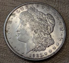 1921 Morgan Silver Dollar  T-5