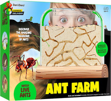Ant Farm Kit for Kids - Ants Farms Colony - Includes Ant Voucher - Sand Habitat