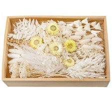 Natural Dried Flower , Bulk Dried Flowers with Stems, Dried Daisies, Dried Ra...