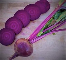  Ruby Queen Beet Seeds 100+ SEEDS  NON-GMO--BUY 4 ITEMS FREE SHIPPING