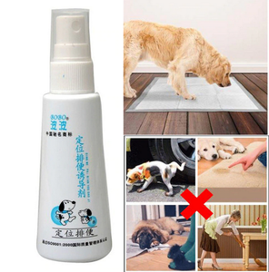 simple solution potty training aid