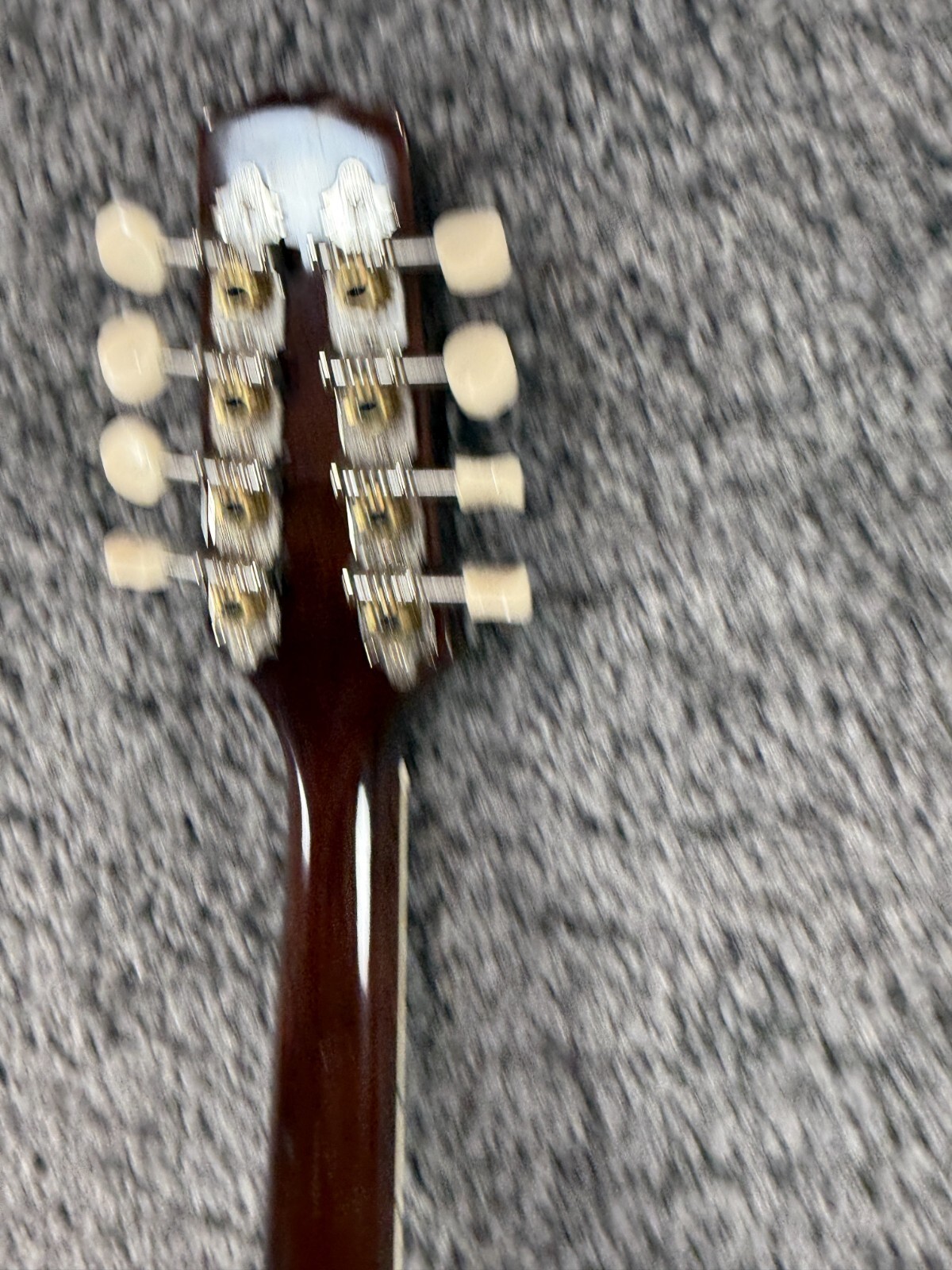 Picture 5 of 24
