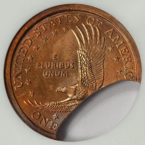 2000 NGC MS64 30% Huge Curved Clip Sacagawea Dollar Mint Error Unique And Rare - Picture 2 of 4