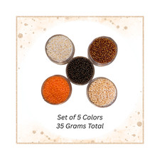 Set of 5 Colors Miyuki 11/0 Round Seed Beads Beige Orange Brown 35 Grams Total