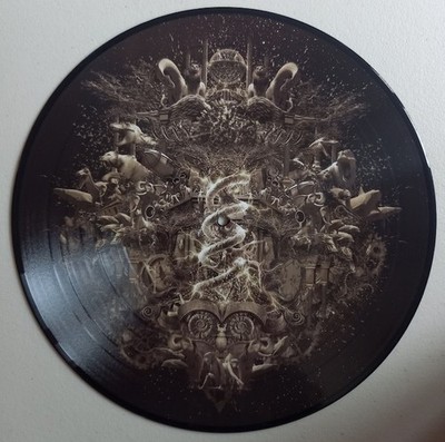 Nightwish - Endless Forms Most Beautiful 2x Picture Vinyl LP ungespielt