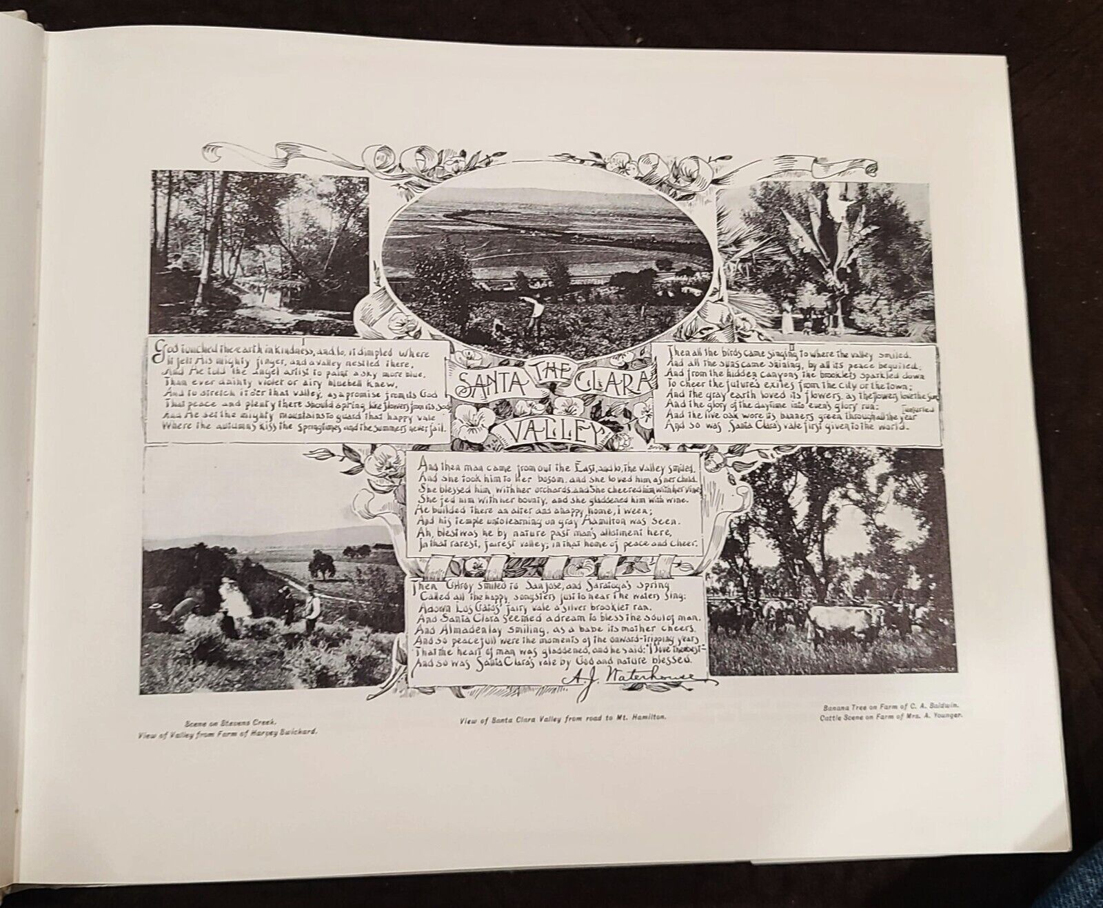 Picture 3 of 7