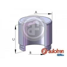 Piston, Brake Caliper AUTOFREN SEINSA D025278 for Nissan