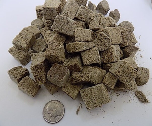 bloodworm fish food online