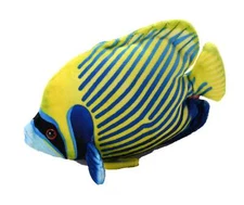 Wild Republic Coral Reef Emperor Angelfish Stuffed Animal 6"