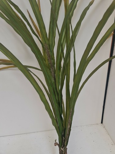 3 X Artificial green/yellow Leaf Orchid large Plants 100cm Foliage, Greenery - Picture 9 of 12