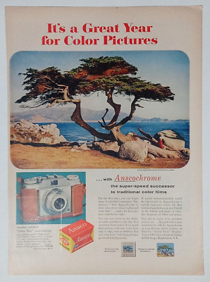 1950's ANSCO Camera Film Bonsai Tree Ocean Leather Decor Colorful Vtg Print Ad