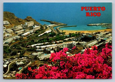 Puerto Rico Vintage Postcard Scenic View Floral Design Gran Canaria