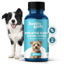 Kennel Cough Treatment & Dog Nasal Congestion Relief
