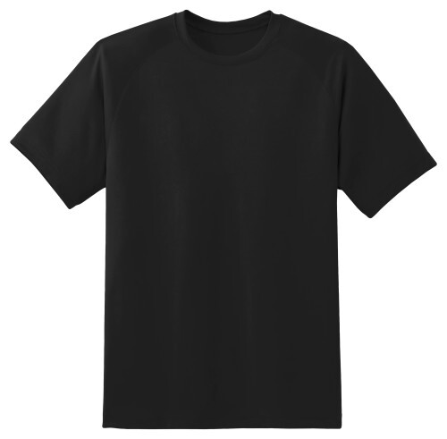 Lightweight Anvil 980 Shirts -Blank Sublimation Shirts (5 Pack)