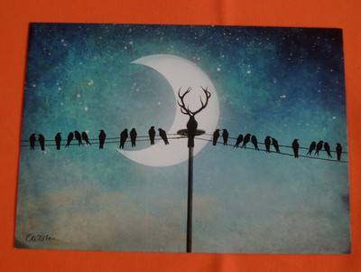 1x Postkarten Catrin Welz-Stein Fantasie Klatschmohn MOND Vögel Stromleitung Nac